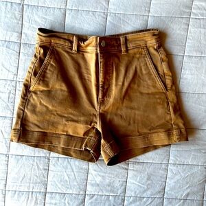 Everlane Tan Cotton Twill Shorts, Size 6